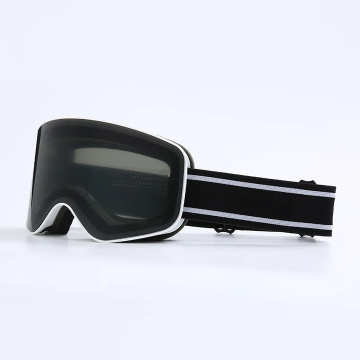 Aspen Shield Ski Goggles