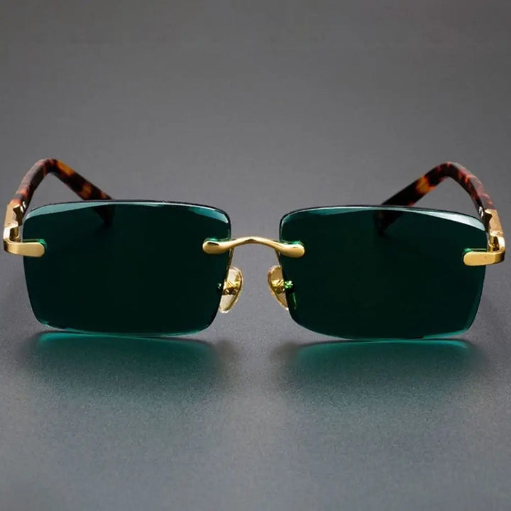 Savane Tortoise Sunglasses