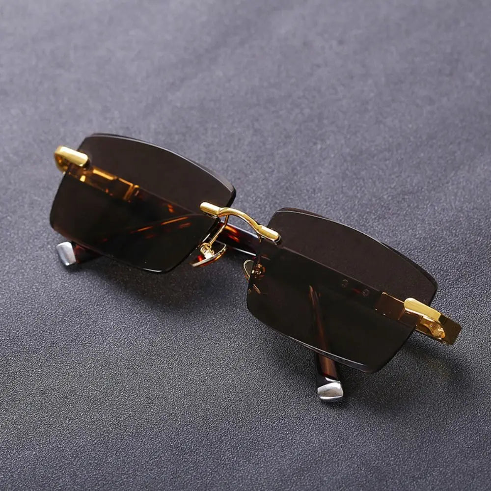 Savane Tortoise Sunglasses