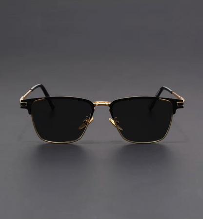 Voltage Polarized Titanium Sunglasses